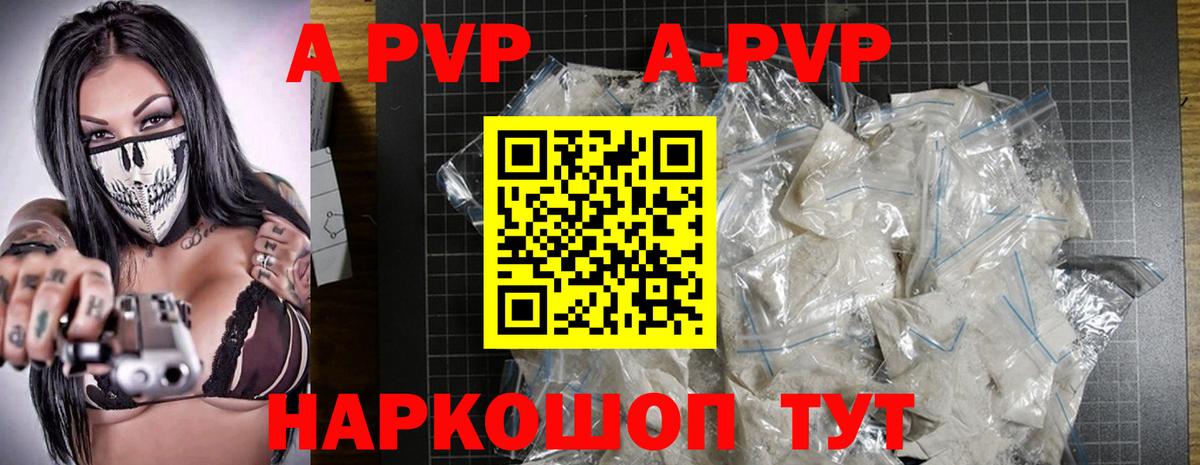 A-PVP СК КРИС Гусев