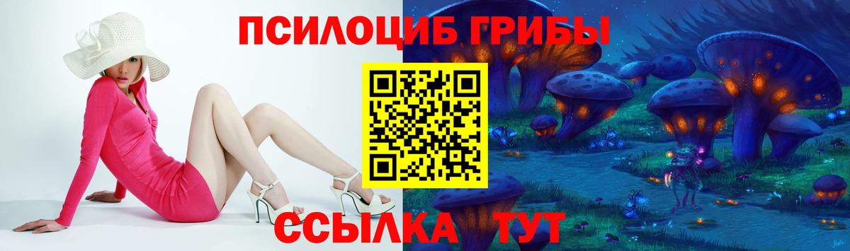 Гусев  Псилоцибиновые грибы Cubensis  Вход с VPN  Псилоцибиновые грибы ЛСД 