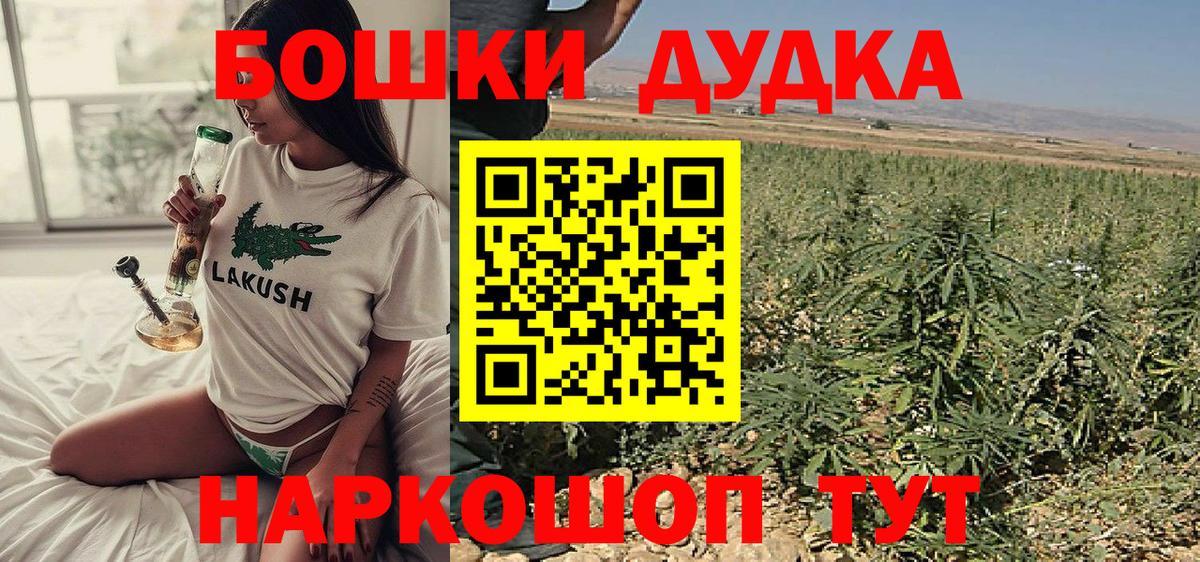 Бошки Шишки семена Гусев